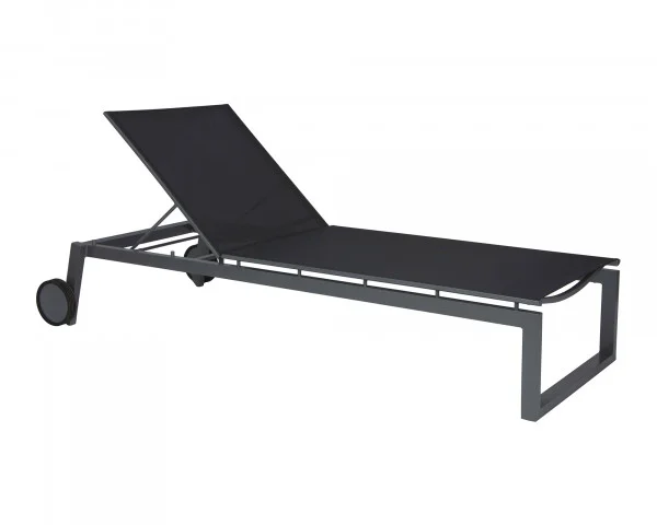 bowi-1237414