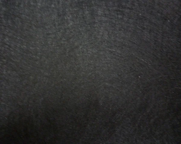 bowi-1238005