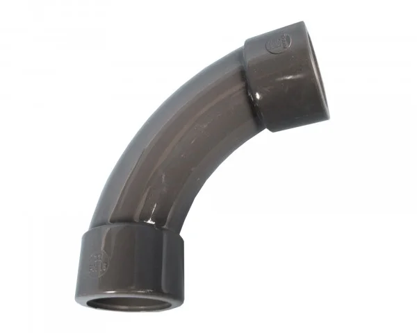 bowi-1238845