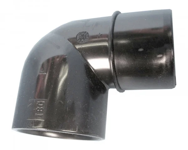 bowi-1238917