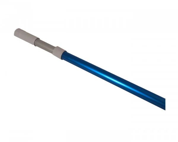 bowi-1240053
