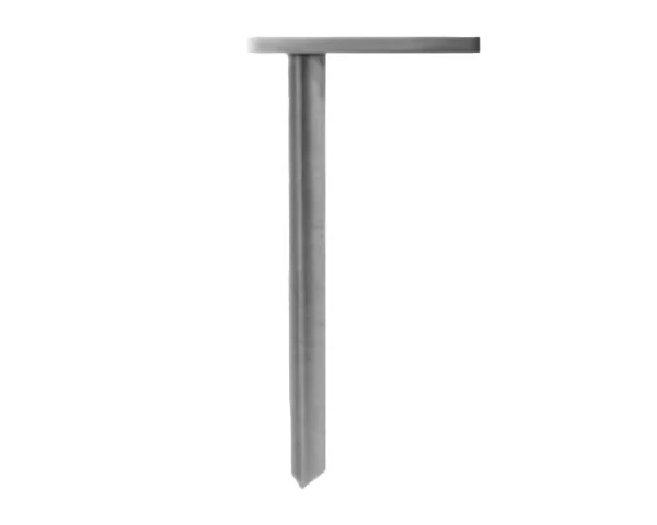 bowi-1240295