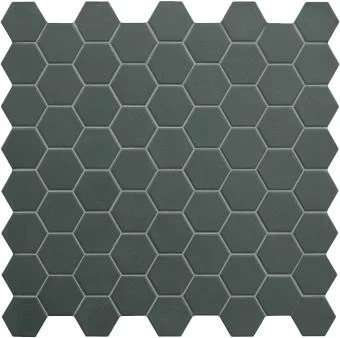 hgc1-1223411