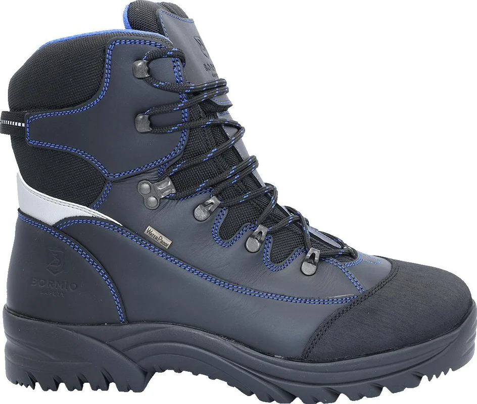 hgc1-1224358