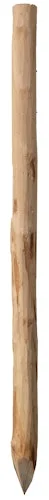 koempf24-1162131
