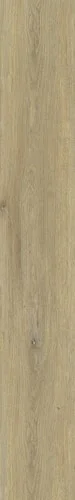 koempf24-1170660