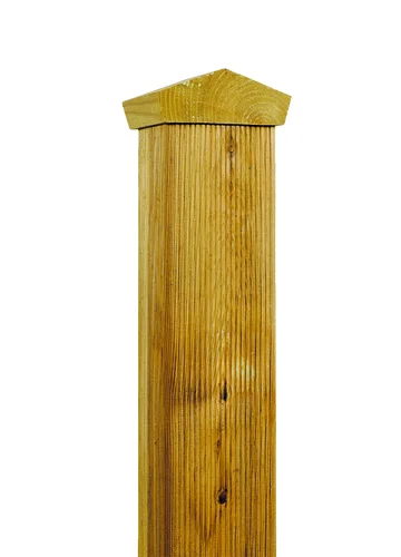 koempf24-1173024