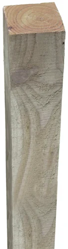 koempf24-1182255