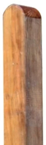 koempf24-1184310