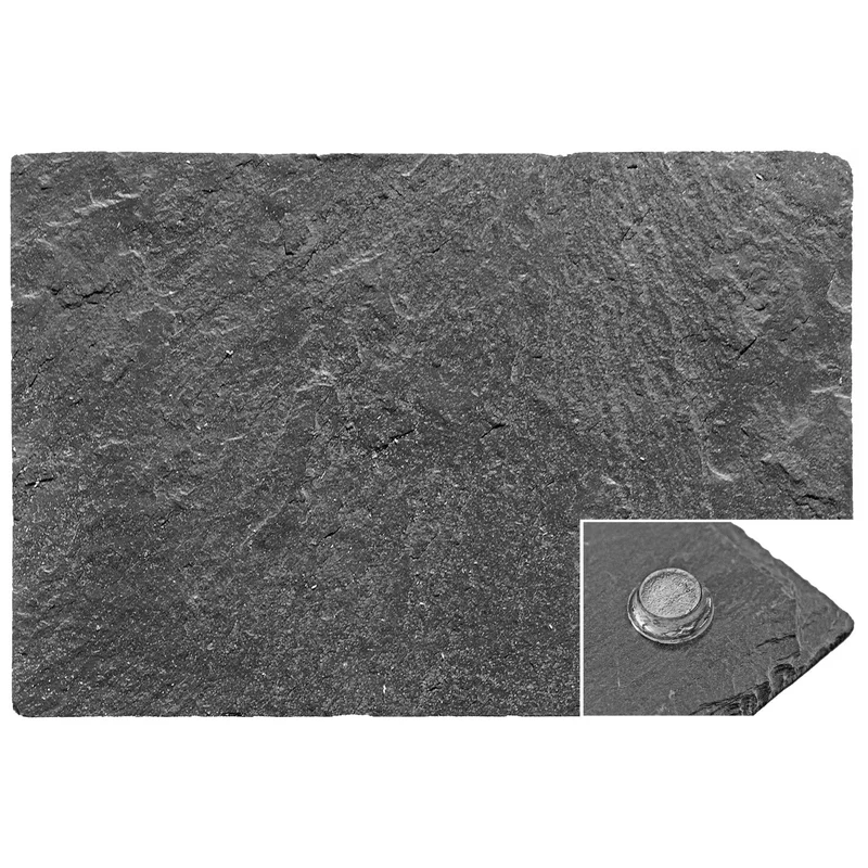 obi1-1020608
