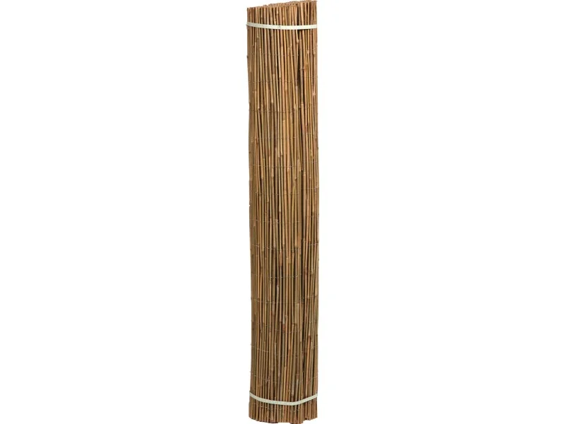 obi2-1033774