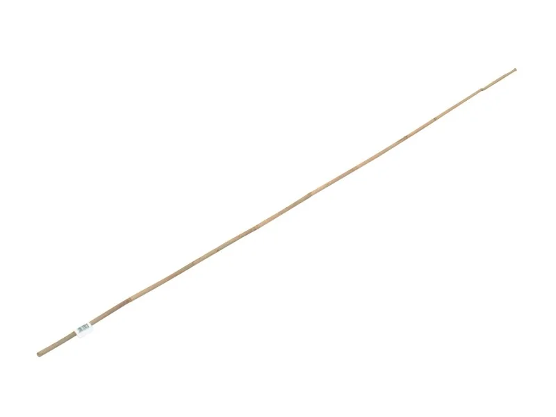 obi2-1058305
