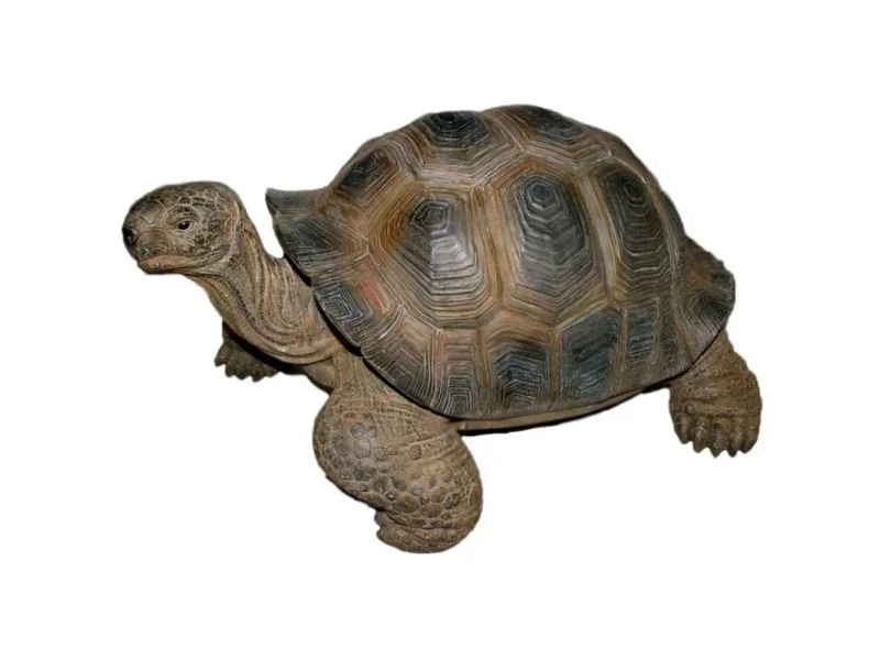 obi2-1076670