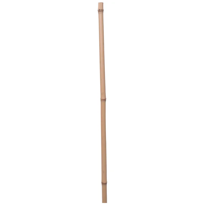 obi2-1095454