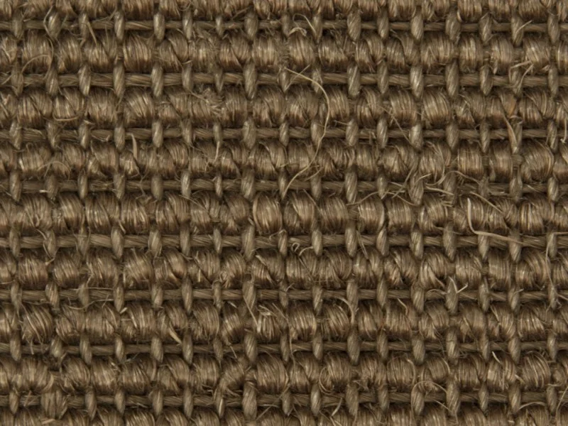 obi3-1038361