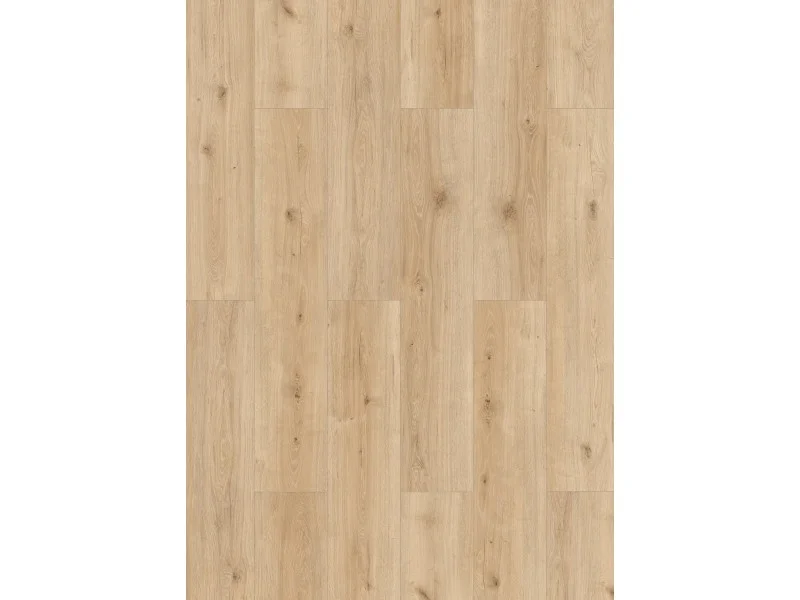 obi3-1081550