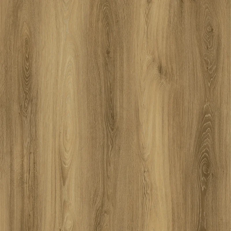 obi3-1101484