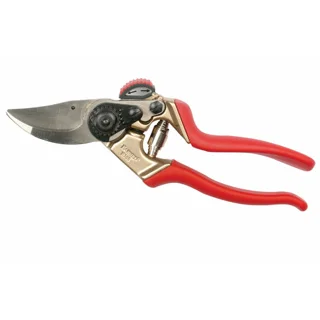 ramo-handels1-1351586