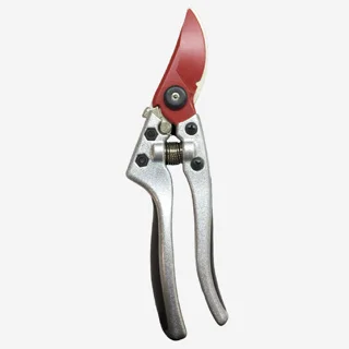 ramo-handels1-1351614