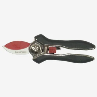 ramo-handels1-1351616