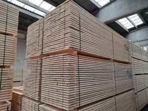 ramo-handels2-1288309