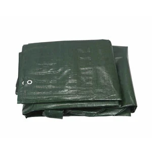 ramo-handels2-1314269